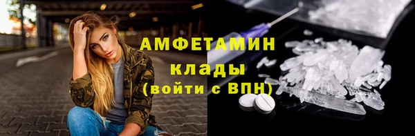 гашик Ладушкин
