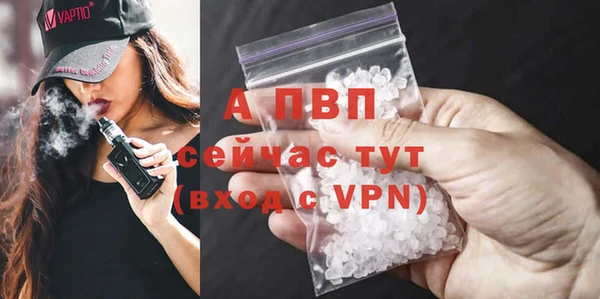 гашик Ладушкин