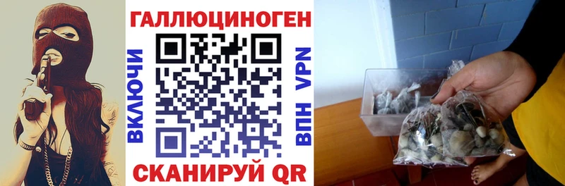 закладка  Курчатов  Псилоцибиновые грибы ЛСД 
